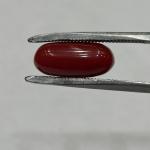 Coral 5.06 Carat