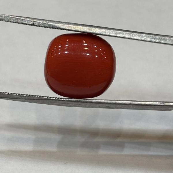 Coral 13.10 Carat