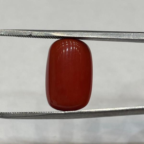 Coral 12.00 Carat